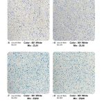 TopCrete-711-Color-Palette-(2)