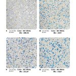 TopCrete-711-Color-Palette-(3)