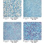 TopCrete-711-Color-Palette-(4)