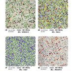 TopCrete-711-Color-Palette-(7)